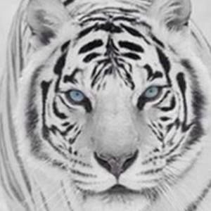 Meet your Posher, Dina